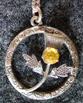 Small Thistle pendant